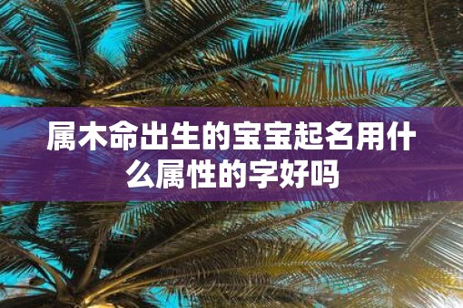 属木命出生的宝宝起名用什么属性的字好吗