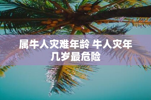 属牛人灾难年龄 牛人灾年几岁最危险