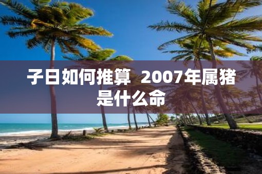 子日如何推算  2007年属猪是什么命