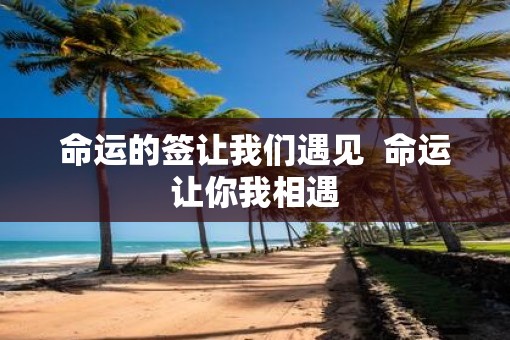 命运的签让我们遇见  命运让你我相遇