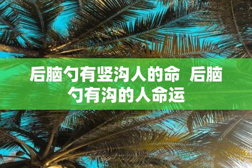 后脑勺有竖沟人的命  后脑勺有沟的人命运