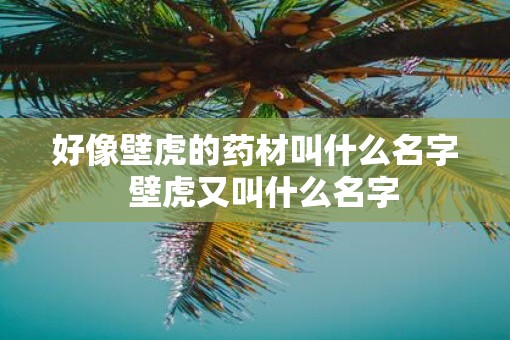 好像壁虎的药材叫什么名字  壁虎又叫什么名字