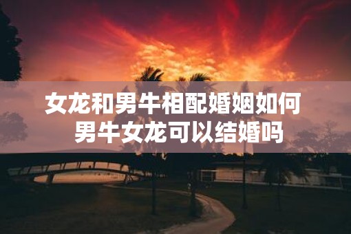 女龙和男牛相配婚姻如何  男牛女龙可以结婚吗