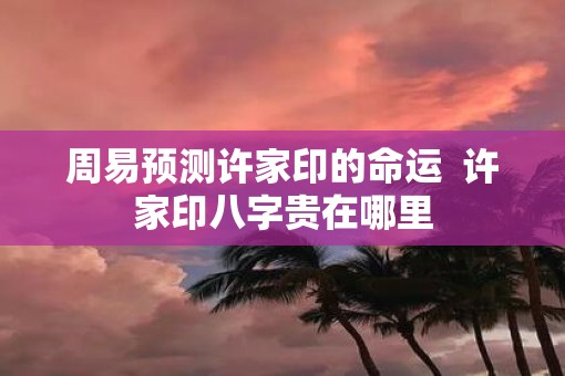 周易预测许家印的命运  许家印八字贵在哪里