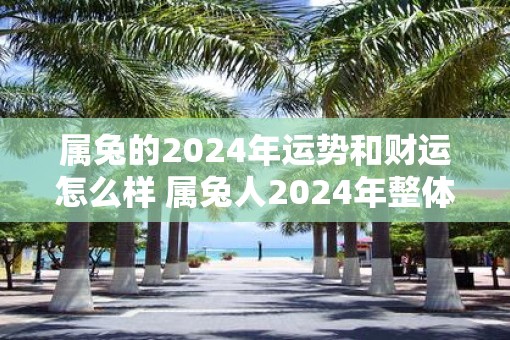 属兔的2025年运势和财运怎么样 属兔人2025年整体运势