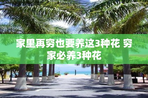 家里再穷也要养这3种花 穷家必养3种花