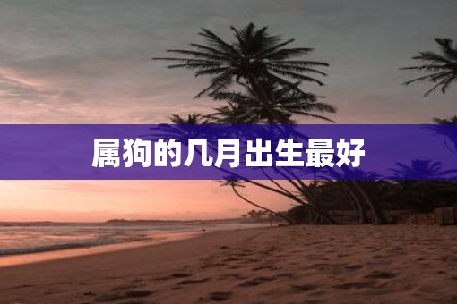 属狗的几月出生最好