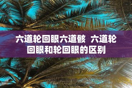 六道轮回眼六道骸  六道轮回眼和轮回眼的区别