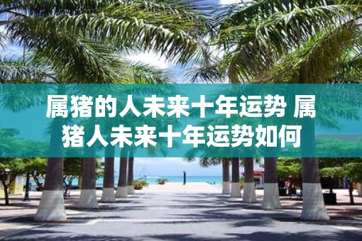 属猪的人未来十年运势 属猪人未来十年运势如何