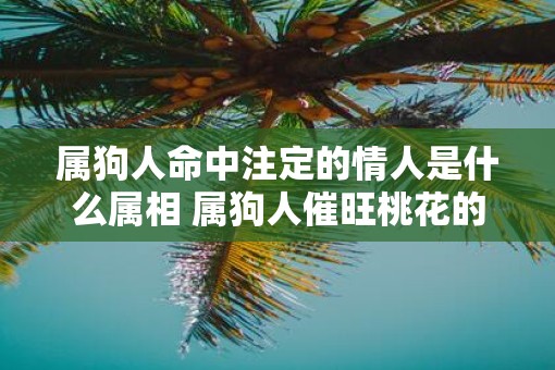 属狗人命中注定的情人是什么属相 属狗人催旺桃花的吉祥物