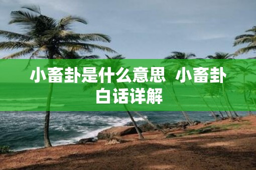 小畜卦是什么意思  小畜卦白话详解