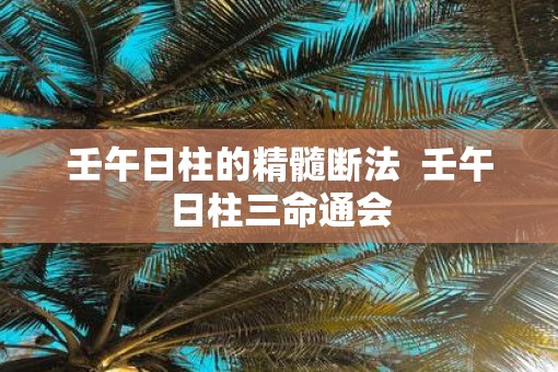 壬午日柱的精髓断法  壬午日柱三命通会