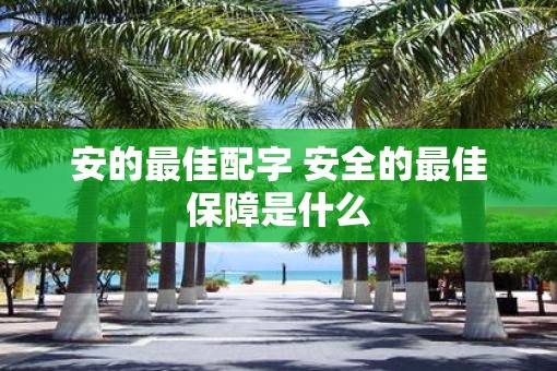 安的最佳配字 安全的最佳保障是什么