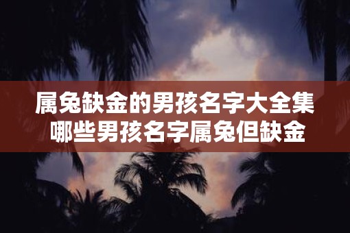 属兔缺金的男孩名字大全集 哪些男孩名字属兔但缺金
