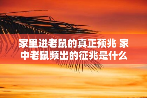 家里进老鼠的真正预兆 家中老鼠频出的征兆是什么