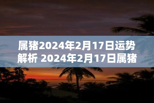 属猪2025年2月17日运势解析 2025年2月17日属猪运势分析