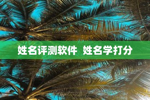 姓名评测软件  姓名学打分