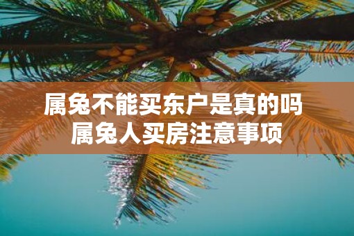 属兔不能买东户是真的吗 属兔人买房注意事项