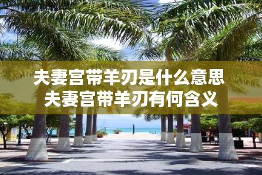 夫妻宫带羊刃是什么意思 夫妻宫带羊刃有何含义