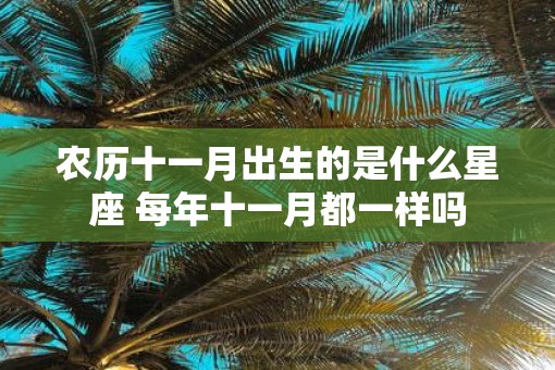 农历十一月出生的是什么星座 每年十一月都一样吗