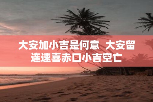 大安加小吉是何意  大安留连速喜赤口小吉空亡