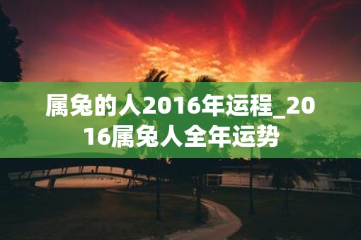 属兔的人2016年运程_2016属兔人全年运势