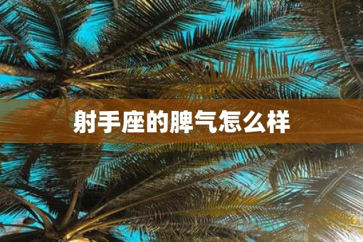 射手座的脾气怎么样