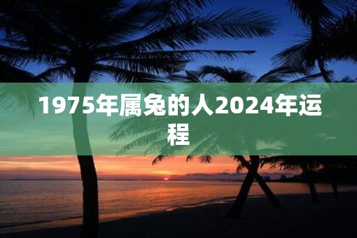 1975年属兔的人2025年运程