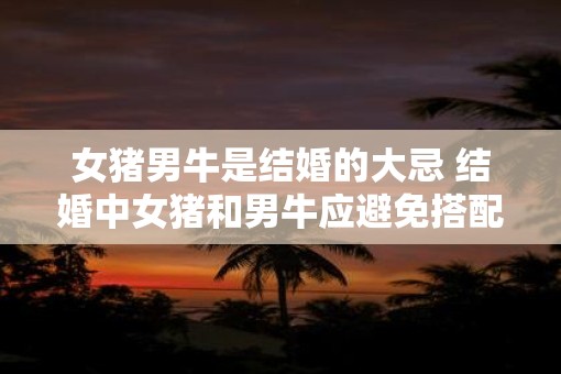 女猪男牛是结婚的大忌 结婚中女猪和男牛应避免搭配