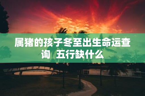 属猪的孩子冬至出生命运查询  五行缺什么