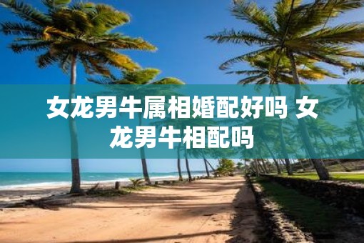 女龙男牛属相婚配好吗 女龙男牛相配吗