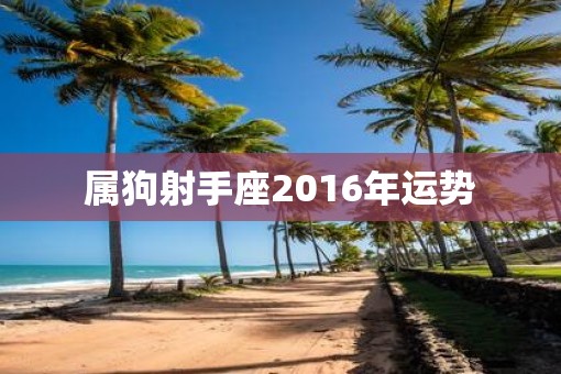 属狗射手座2016年运势