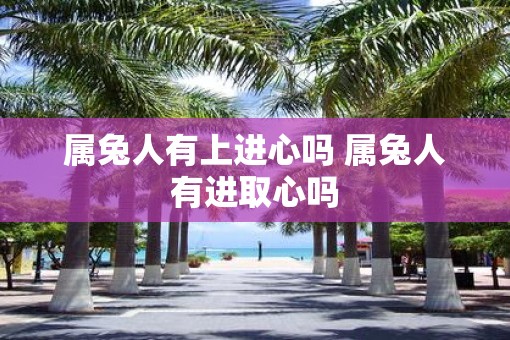属兔人有上进心吗 属兔人有进取心吗