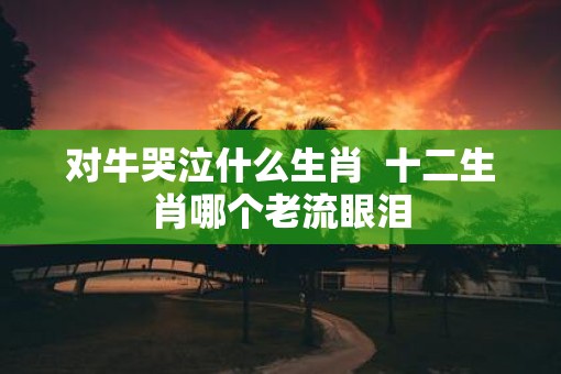 对牛哭泣什么生肖  十二生肖哪个老流眼泪