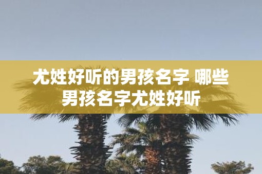 尤姓好听的男孩名字 哪些男孩名字尤姓好听