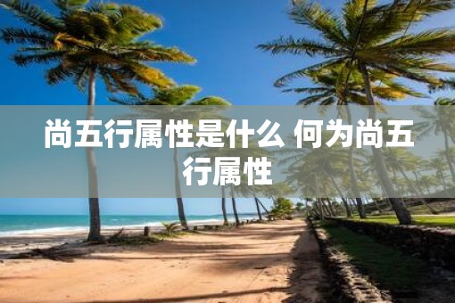 尚五行属性是什么 何为尚五行属性