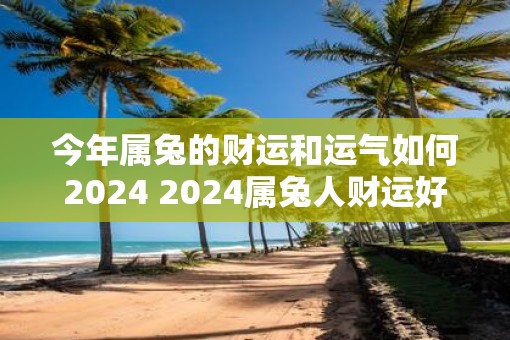 今年属兔的财运和运气如何2025 2025属兔人财运好吗