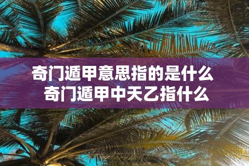 奇门遁甲意思指的是什么  奇门遁甲中天乙指什么