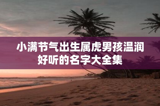 小满节气出生属虎男孩温润好听的名字大全集