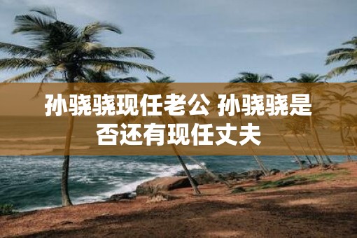 孙骁骁现任老公 孙骁骁是否还有现任丈夫