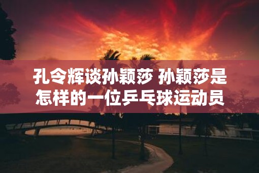 孔令辉谈孙颖莎 孙颖莎是怎样的一位乒乓球运动员