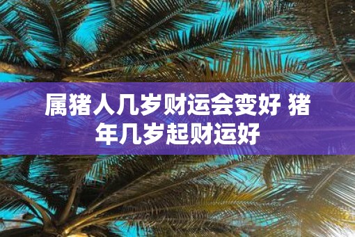 属猪人几岁财运会变好 猪年几岁起财运好