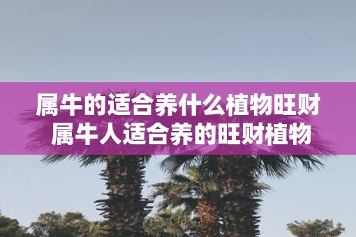 属牛的适合养什么植物旺财 属牛人适合养的旺财植物