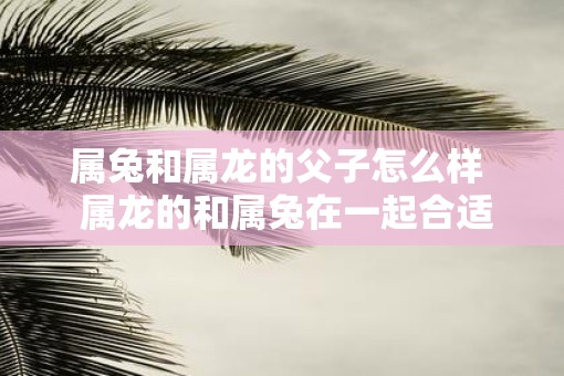属兔和属龙的父子怎么样  属龙的和属兔在一起合适吗
