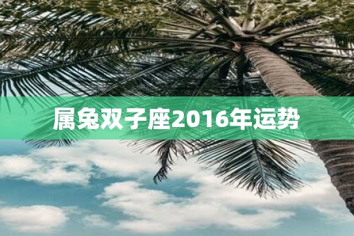 属兔双子座2016年运势