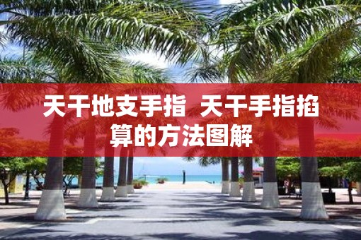 天干地支手指  天干手指掐算的方法图解