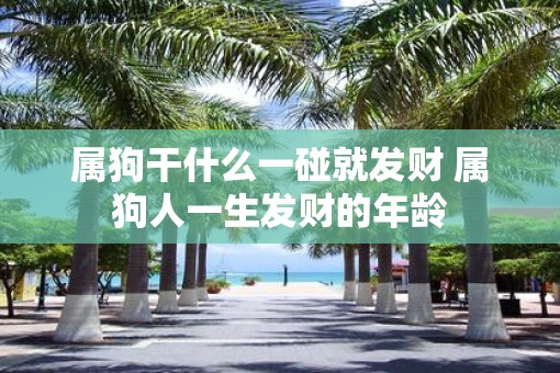 属狗干什么一碰就发财 属狗人一生发财的年龄