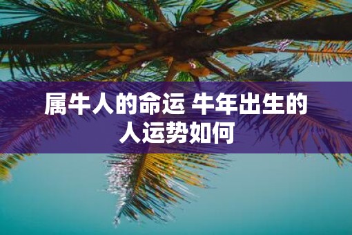 属牛人的命运 牛年出生的人运势如何