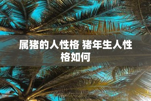 属猪的人性格 猪年生人性格如何