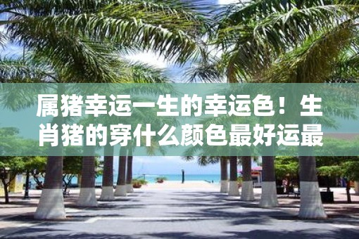 属猪幸运一生的幸运色！生肖猪的穿什么颜色最好运最幸福